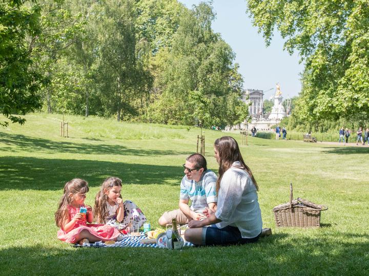 Taj 51 Buckingham Gate Suites and Residences | London | 5